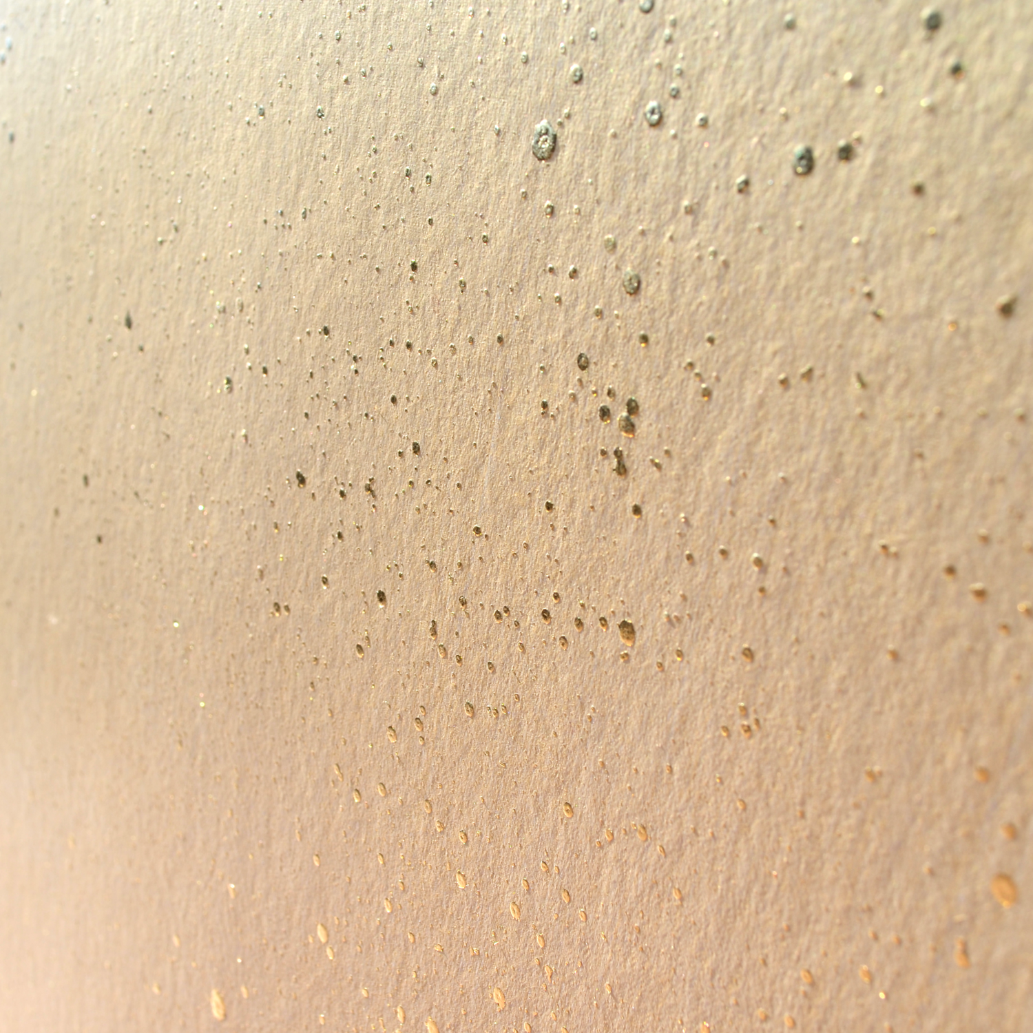 Cosmos hlios detail 281 29