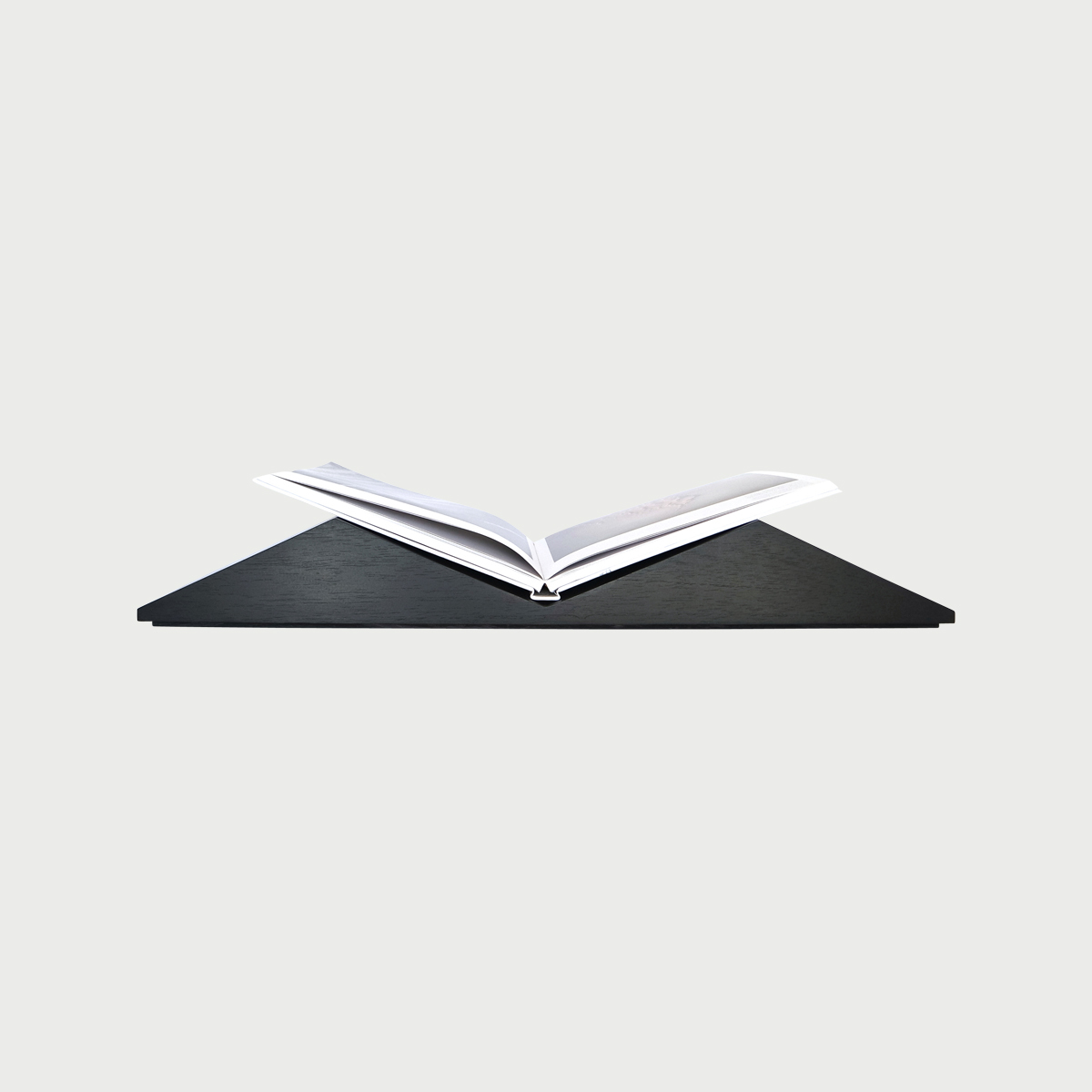 Bookscape mountains with book