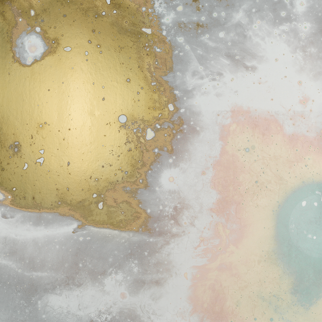 Orion
